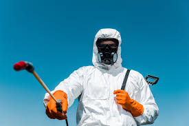 Best Bed Bug Extermination  in Lake Hamilton, AR